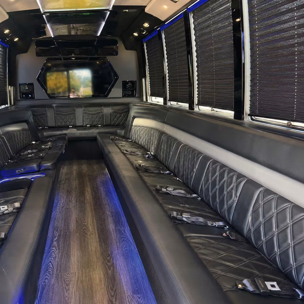 20 passenger party bus interior